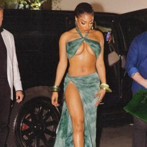 Thee Stallion Red Carpet:hot and sexy