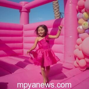 Elle Lively McBroom: o a pink dress