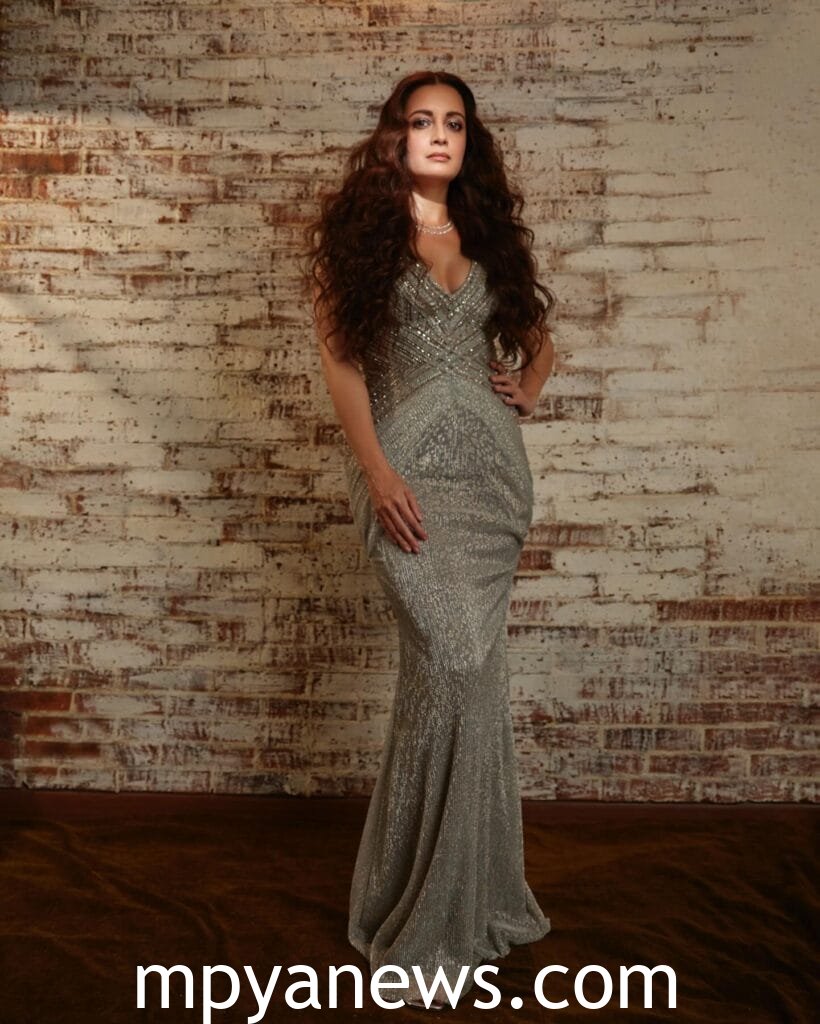 Stylish Dia Mirza body con dress