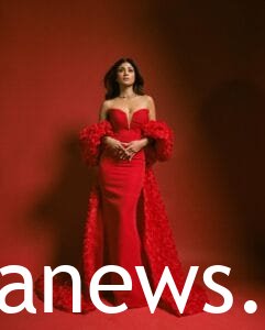 red carpet dress by Shilpa Shetty