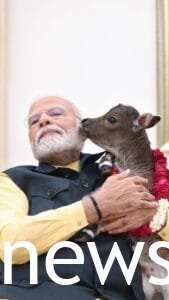 cute Narendra Modi hobbies