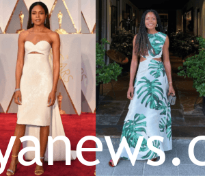 Naomie Harris Dresses maxi dresses