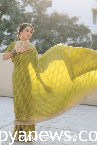 stylish: Falaq Naaz fashion