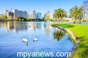 Top-rated budget travel destinations for families: cool