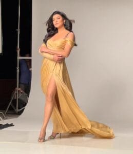 Sushmita Sen red carpet dress:in a high slit dress