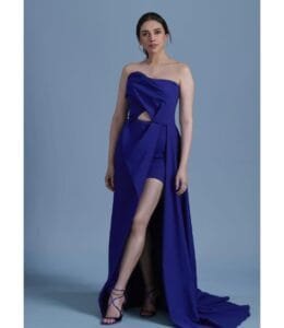 Aditi Rao Hydari dress:in blue