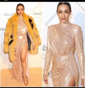 Malaika Arora Fashion:hot and sexy