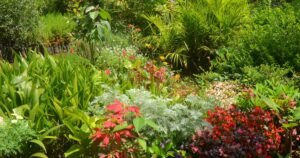 Wildflower Bloom Photography In Laikipia Conservancy