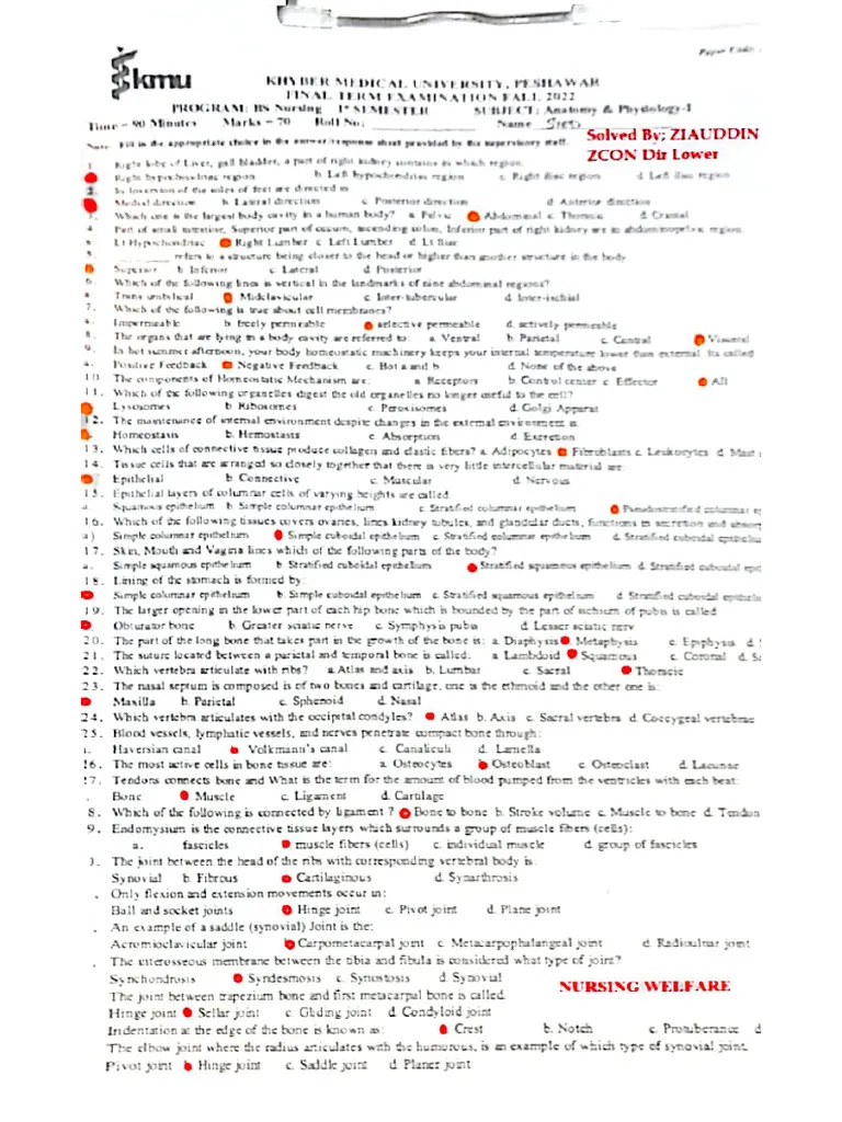 Anatomy And Physiology I Exam Past Paper