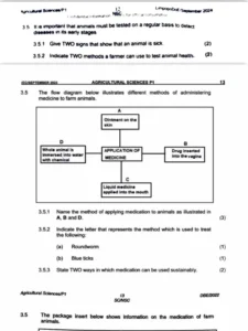 Animal-Health-Field-Training-Exam-Past-Paper-Mpya-News