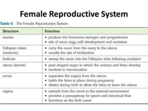 Reproductive-Diseases-And-Disorders-Exam-Past-Paper-Mpya-News