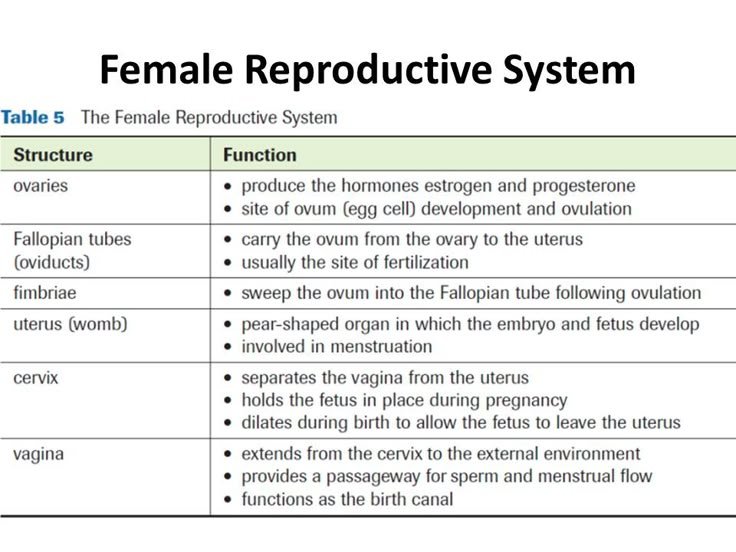 Reproductive-Diseases-And-Disorders-Exam-Past-Paper-Mpya-News