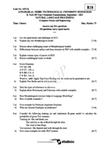 Natural-Language-Processing-Exam-Past-Paper-Mpya-News