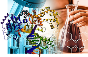 Nutritional Biochemistry Exam Past Paper for Revision