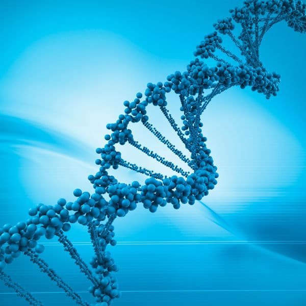 Download Microbial Genetics Past Paper for Revision 33 Download Microbial Genetics Past Paper for Revision Microbial Genetics Past Paper