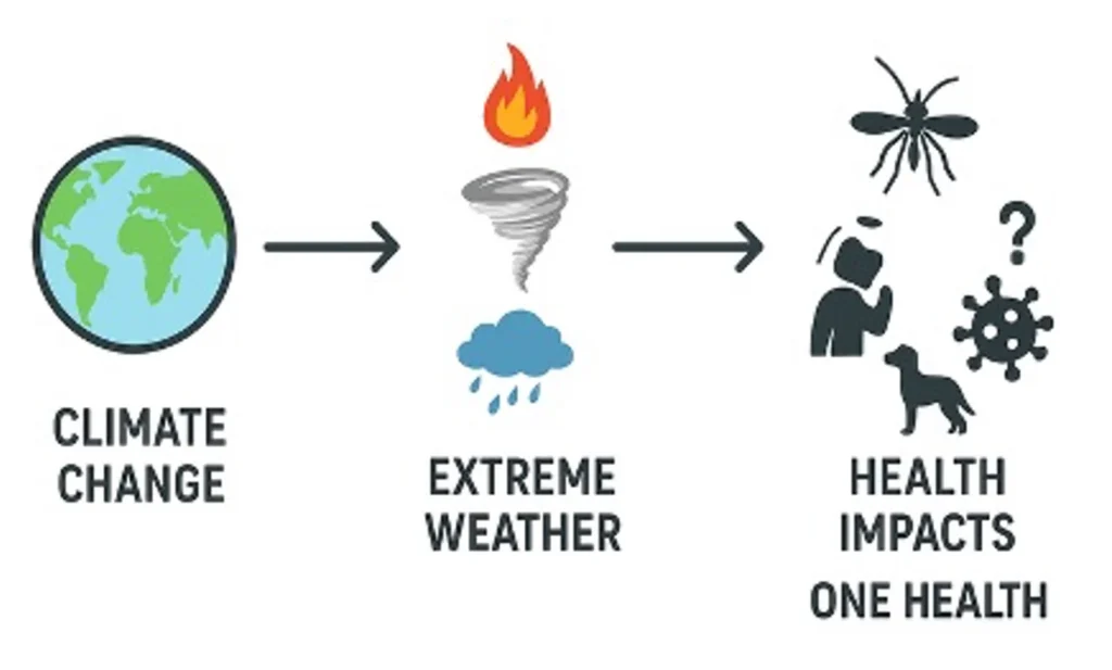 Download Climate Change And Health Exam Past Paper 30 Download Climate Change And Health Exam Past Paper Climate Change And Health Exam Past Paper
