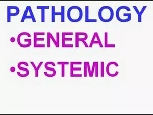 Download General And Systemic Pathology Exam Past Paper 27 Download General And Systemic Pathology Exam Past Paper General And Systemic Pathology Exam Past Paper