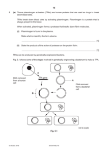 Best Genetic Engineering Past paper