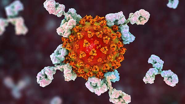 Download Foundation of Immunology Exam Past Paper 14 Download Foundation of Immunology Exam Past Paper Foundation of Immunology Exam Past Paper