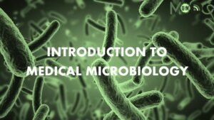 Introduction To Medical Microbiology Exam Past Paper