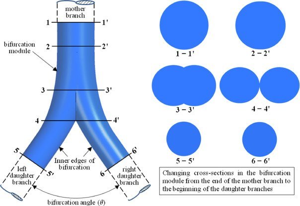 Download Bifurcation and Dynamics Past paper for Revision 37 Download Bifurcation and Dynamics Past paper for Revision Bifurcation and Dynamics Past paper