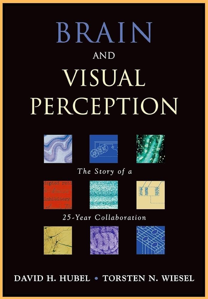 Download visual perception and neuro-physiology past papers Exam 13 Download visual perception and neuro-physiology past papers Exam visual perception and neuro-physiology past papers Exam
