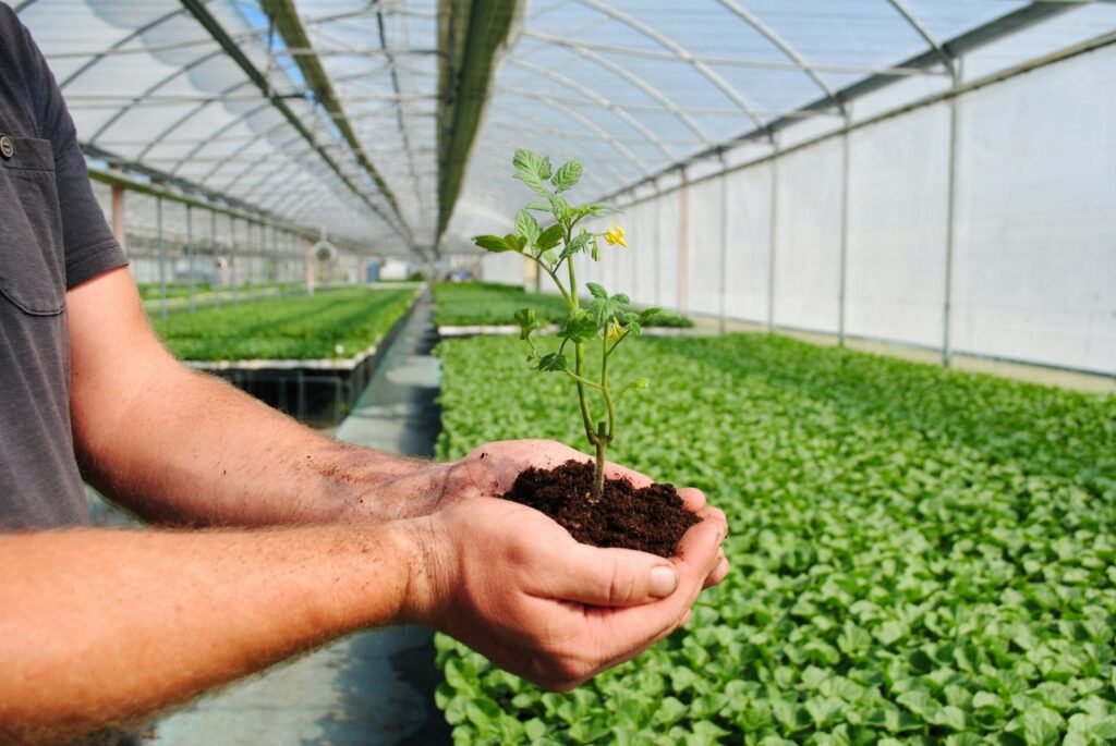 Download Agricultural Innovations Management And Intellectual Property Rights Exam Past Paper 21 Download Agricultural Innovations Management And Intellectual Property Rights Exam Past Paper Download Agricultural Innovations Management and Intellectual Property Rights exam past paper to practice agricultural innovation, patents, and IPR management exam questions.