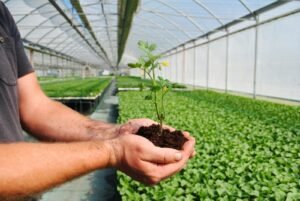 Download Agricultural Innovations Management and Intellectual Property Rights exam past paper to practice agricultural innovation, patents, and IPR management exam questions.