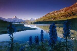 Introduction To Natural Resource Management Exam Past Paper