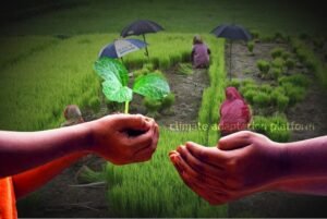 Climate Change And Adaptation In Agriculture Exam Past Paper