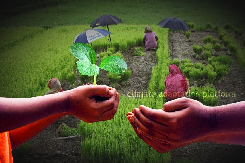 Download Climate Change And Adaptation In Agriculture Exam Past Paper 35 Download Climate Change And Adaptation In Agriculture Exam Past Paper Climate Change And Adaptation In Agriculture Exam Past Paper