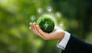 Environmental Management Exam Past Paper