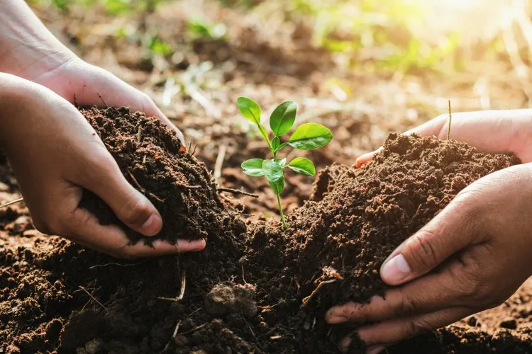 Download Soil And Water Conservation Exam Past Paper 38 Download Soil And Water Conservation Exam Past Paper soil and water conservation Exam Past Paper