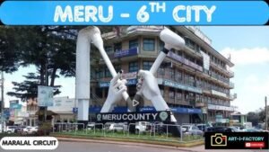 meru: Meru County Staff Wealth Declaration Form