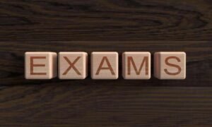 PDF Past Paper On Theory Of Actuarial Practice And Professionalism For Revision