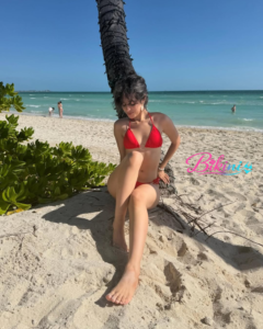 Bikini Snaps by Camila Cabello Fans Love