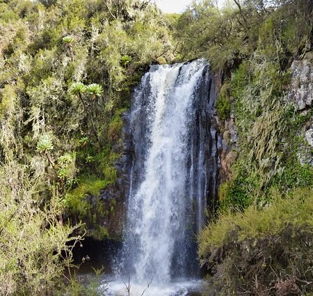 Water whispers secrets as it spills downward