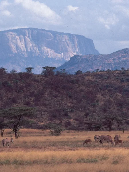 Panoramic View Of Rift Valley Escarpment Kenya