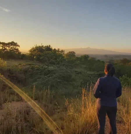 Serene sunrise over Mount Kenya view from Nanyuki:Breathtaking view